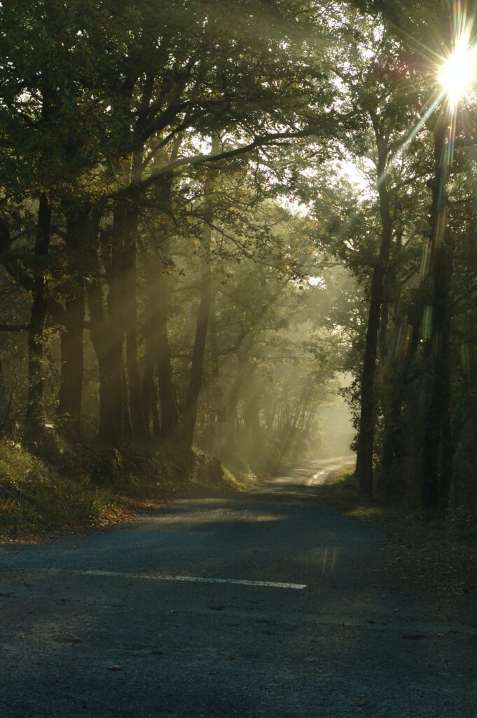 fietsen in de dordogne, fietsen in frankrijk