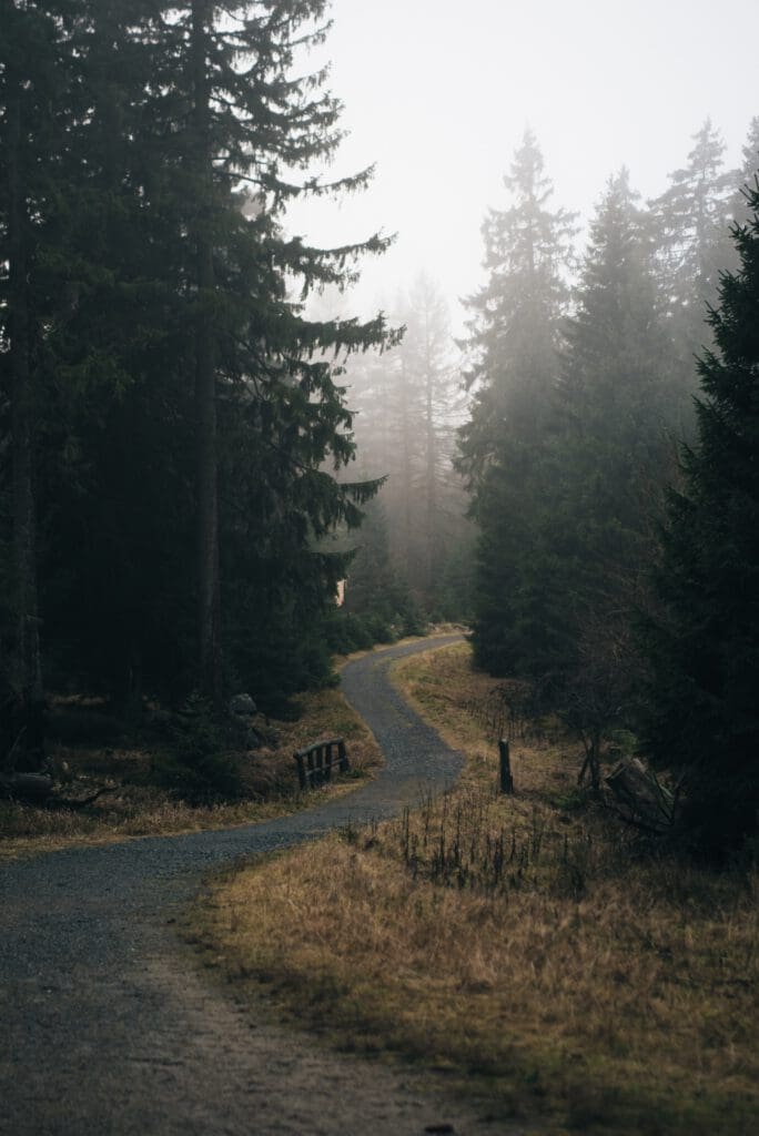 Fietsen in Nationalpark Harz - cyclingdestination
