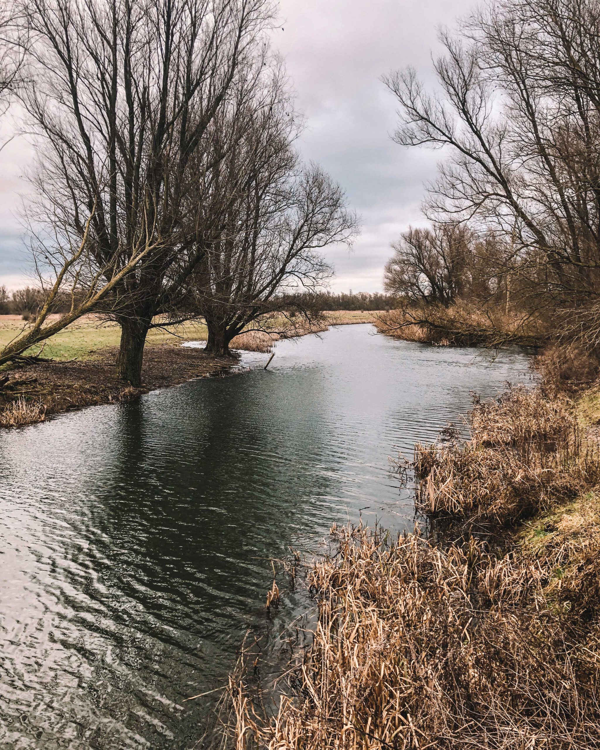 de achterhoek is mooi