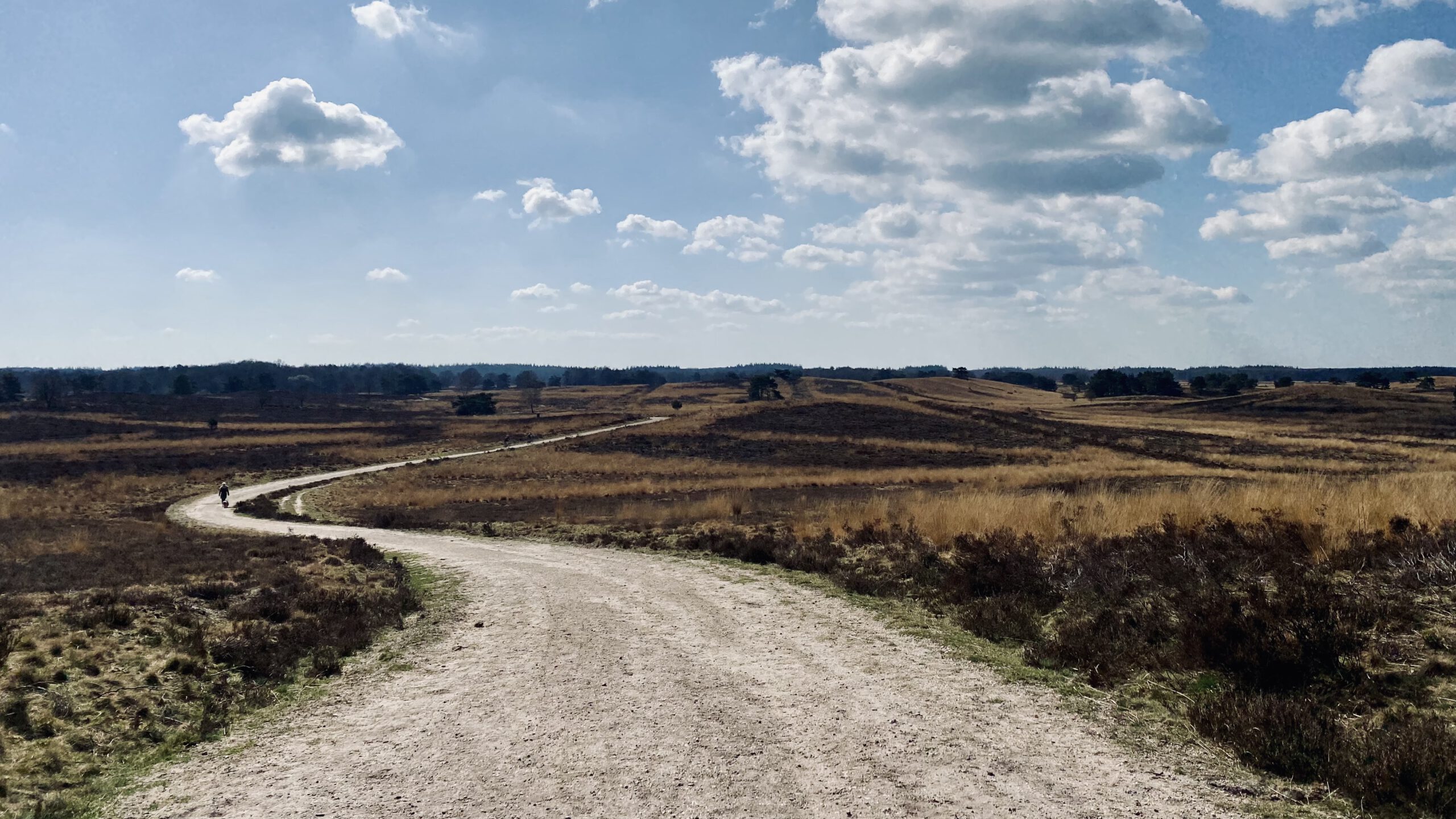gravel, vierhouten, kroondomein, gravelbike, gravelfietsen