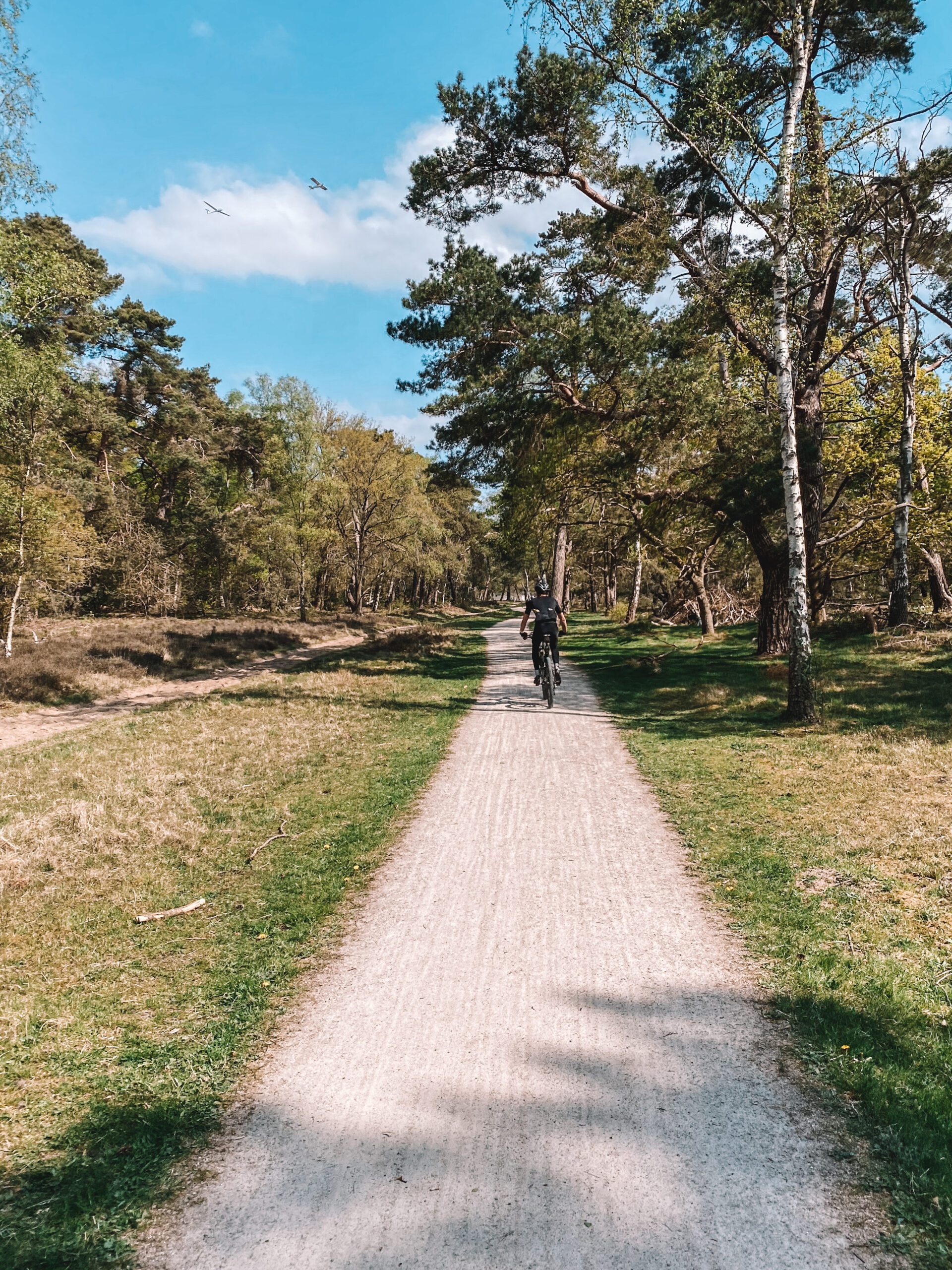 gravelbike, gravel, cycling, fietsen, wielrennen, fiets, lage vuursche
