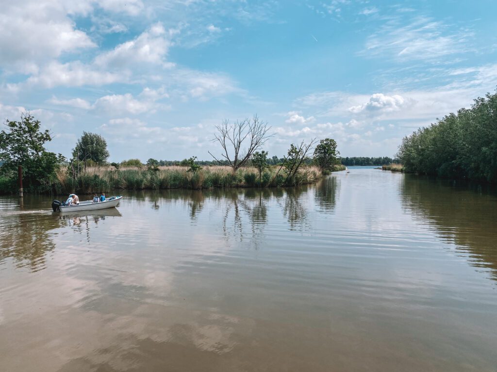 biesbosch, uitzicht