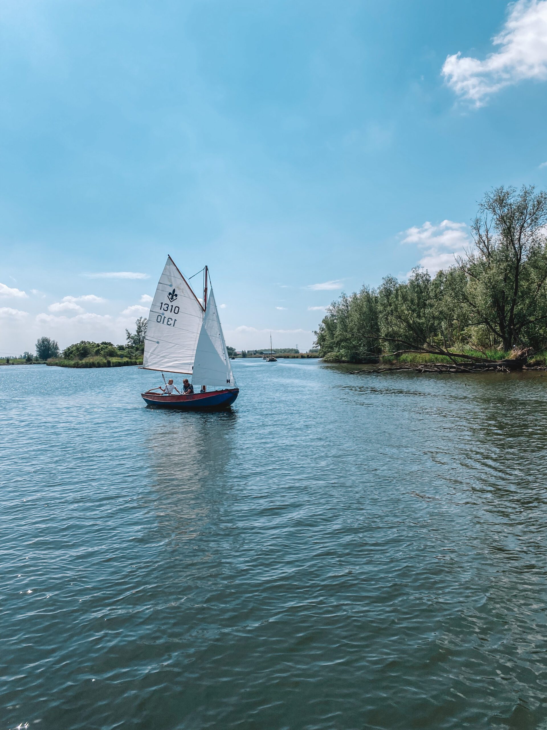 bootje, biesbosch, vaart, natuur, fietsen