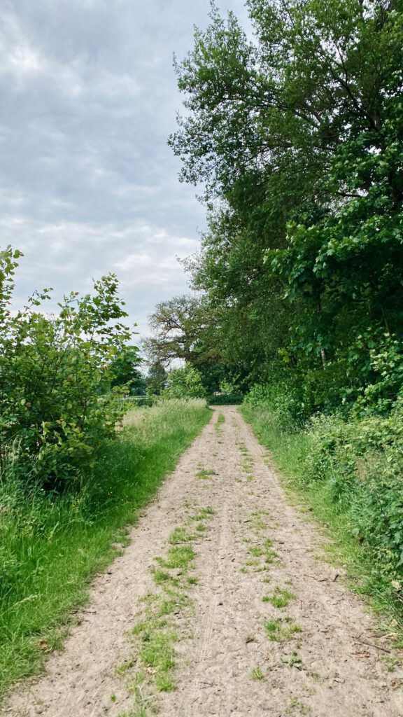 zandpad, strade bianche, achterhoek, gravel, gravelbike, ride, wielrennen, cycling, fietsen, gravelride, witte stroken