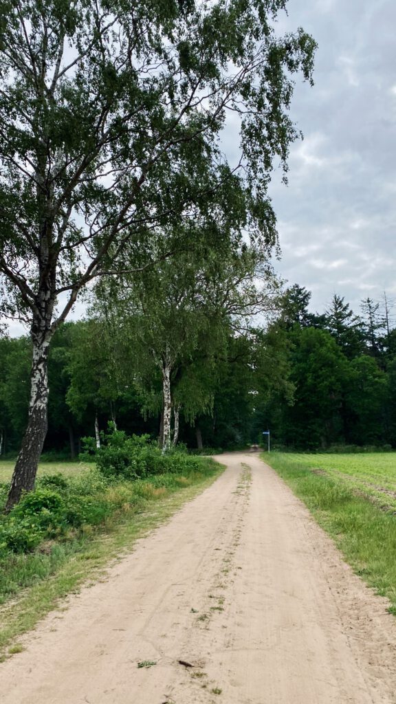 Achterhoek, gravel, gravelbike, ride, wielrennen, cycling, fietsen, gravelride, witte stroken