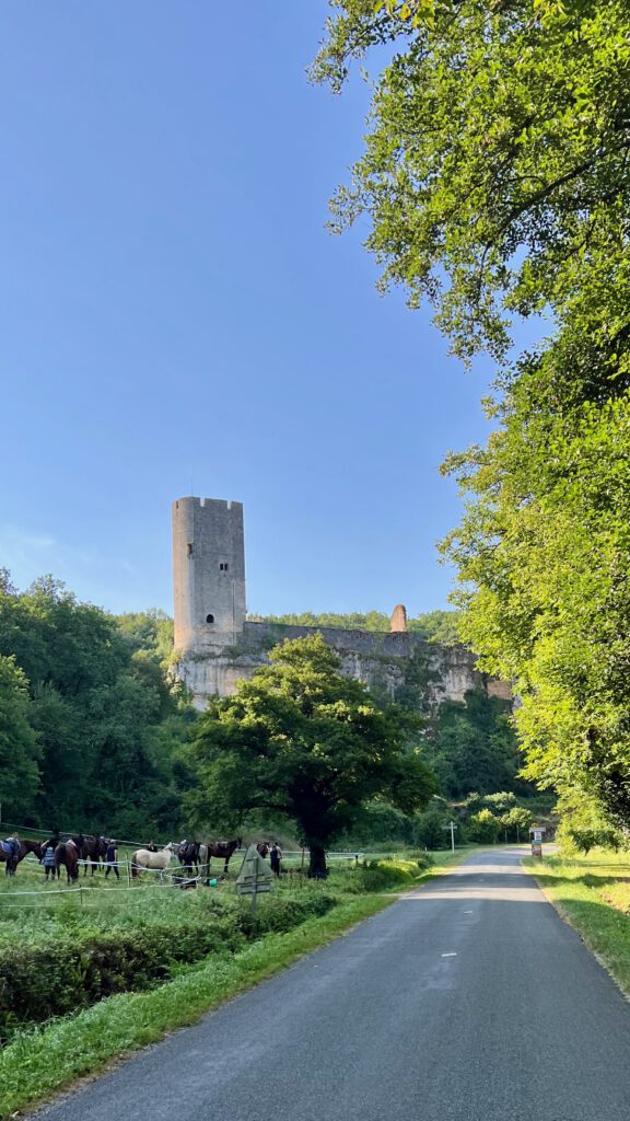 frankrijk, fietsen, garonne, lot-et-garonne, fietsen in frankrijk, wielrennen, vakantie, fietsvakantie, wielrenvakantie, wielrenvakantie frankrijk, fietsvakantie frankrijk