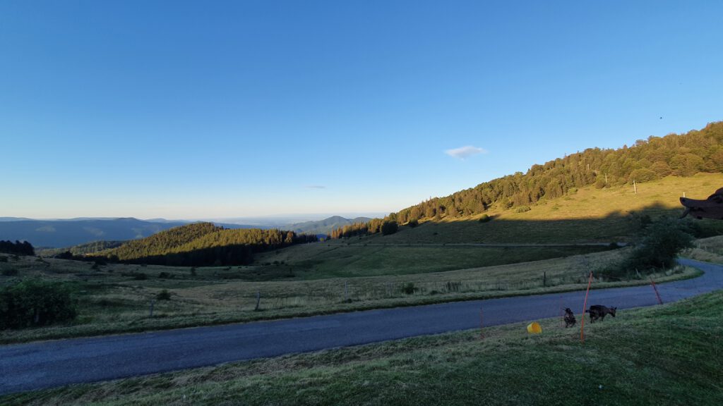 petit ballon, col du petit ballon, fietsen in frankrijk, fietsen in de vogezen, vogezen, fietsen elzas, top petit ballon, fietsvakantie frankrijk, fietsvakantie elzas