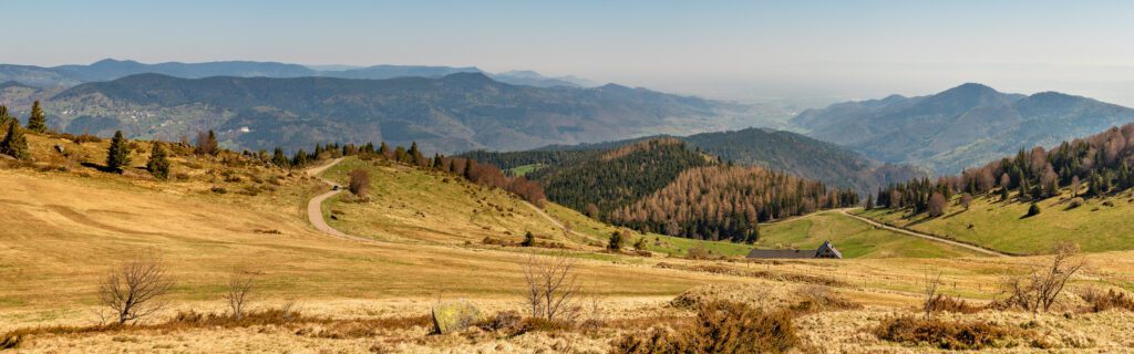 fietsen in de vogezen, landschap, zicht vanaf de petit ballon, petit ballon, fietsen in frankrijk