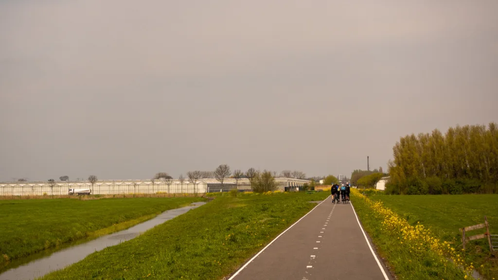 ronde westland, fietsroute westland, fietsronde westland, fietsen in zuid-holland, zuid-holland fietsrondje, fietsen tussen de kassen, kassen, westland