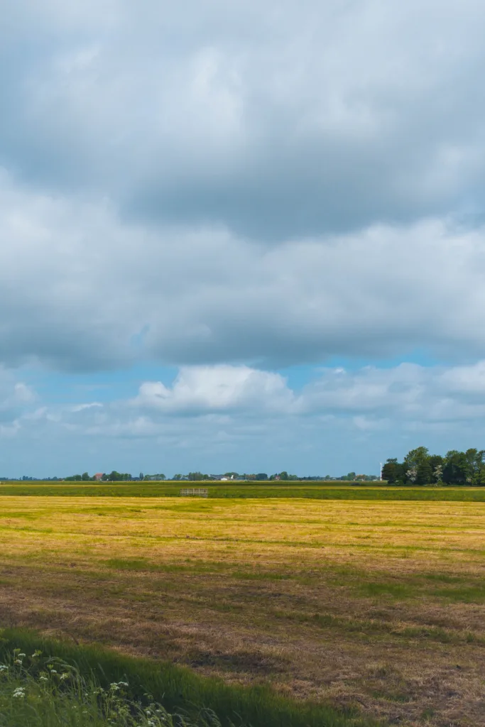 zuid-west-friesland
