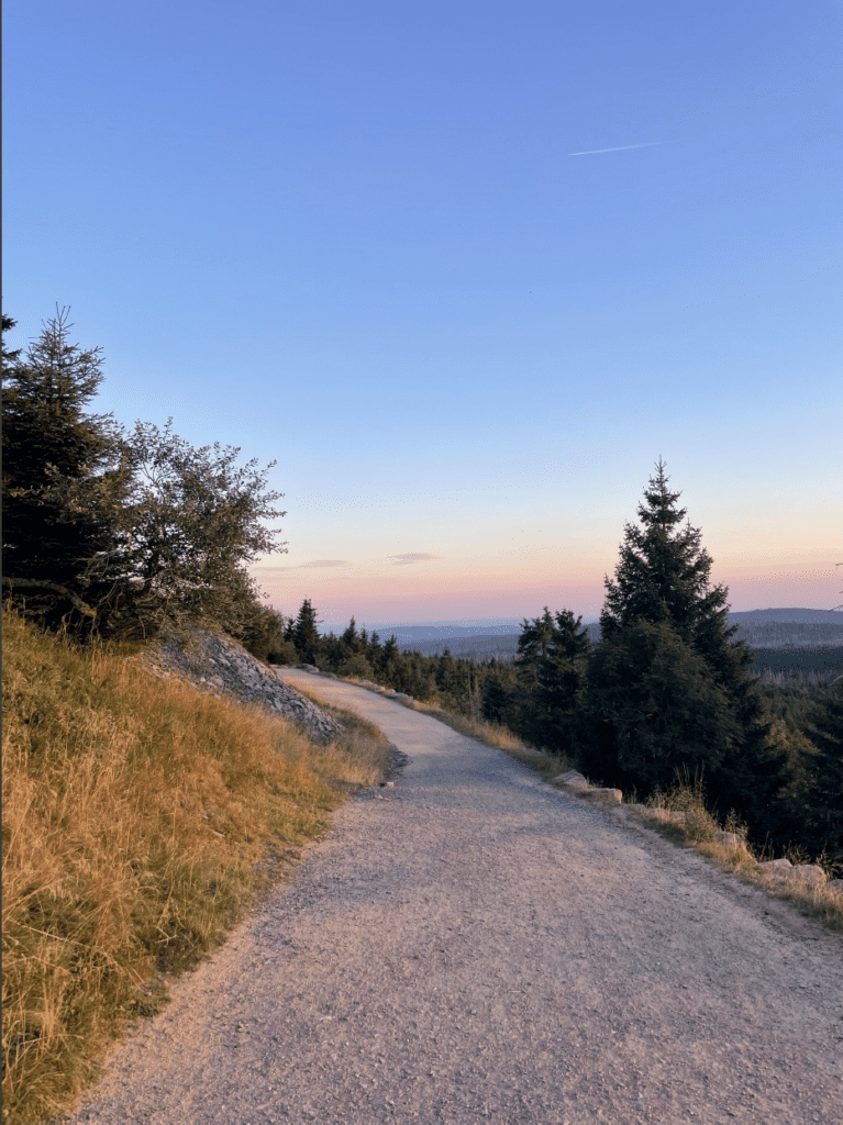 fietsen in de harz